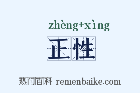 正性是什么意思的图片